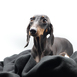 gallery-img