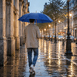 gallery-img