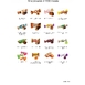 gallery-img