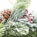 gallery-img