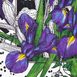 gallery-img