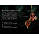 gallery-img