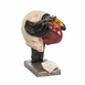 gallery-img