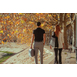 gallery-img