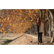 gallery-img